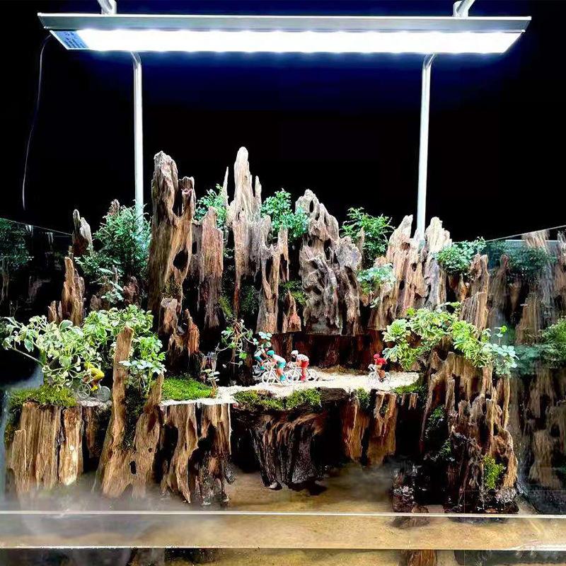Aquarium Fish Enrichment - Shrimp Wood Aquarium Decor, Driftwood Water