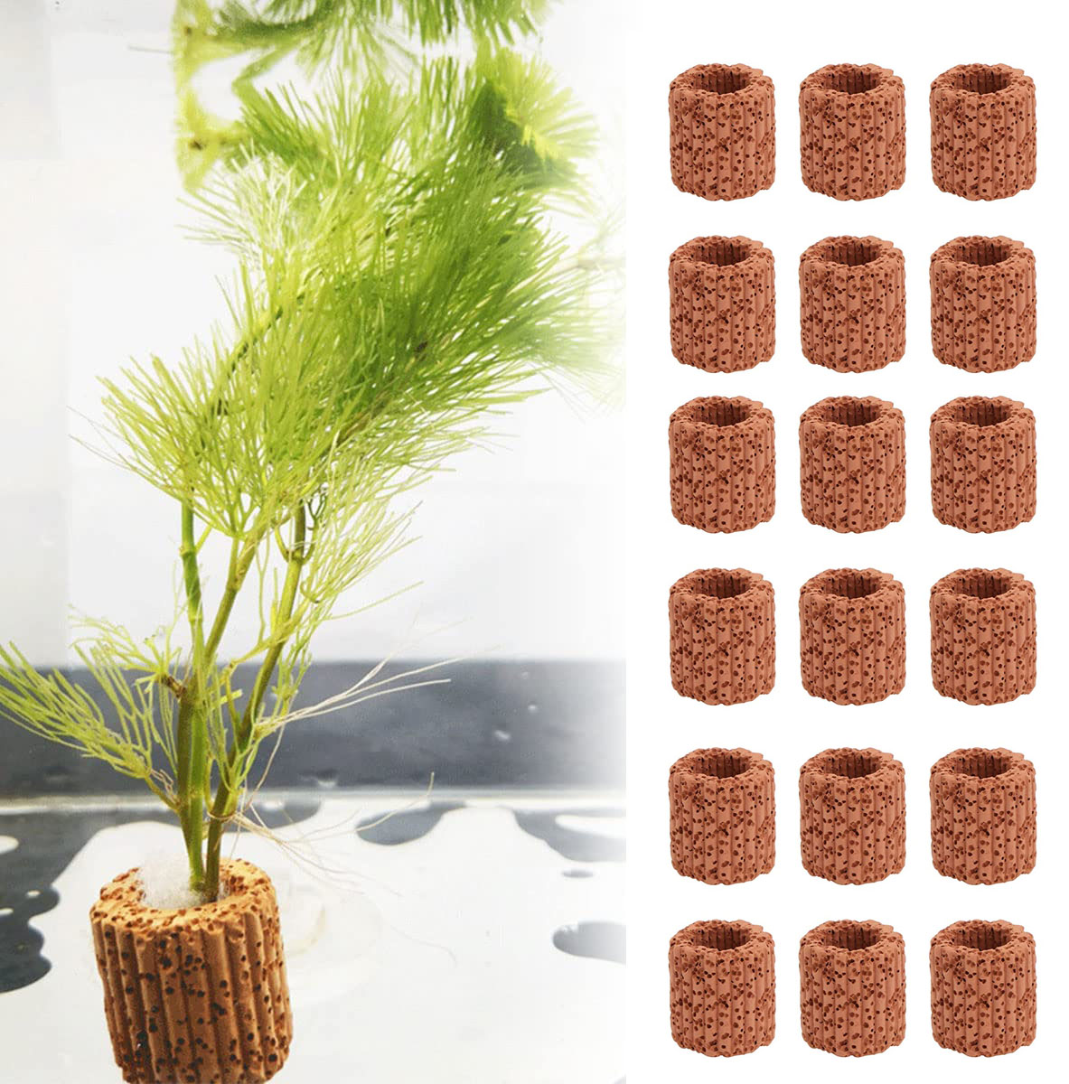 Aquarium Fish Enrichment - 10/20Pcs Aquatic Water Plant Fixed Ring