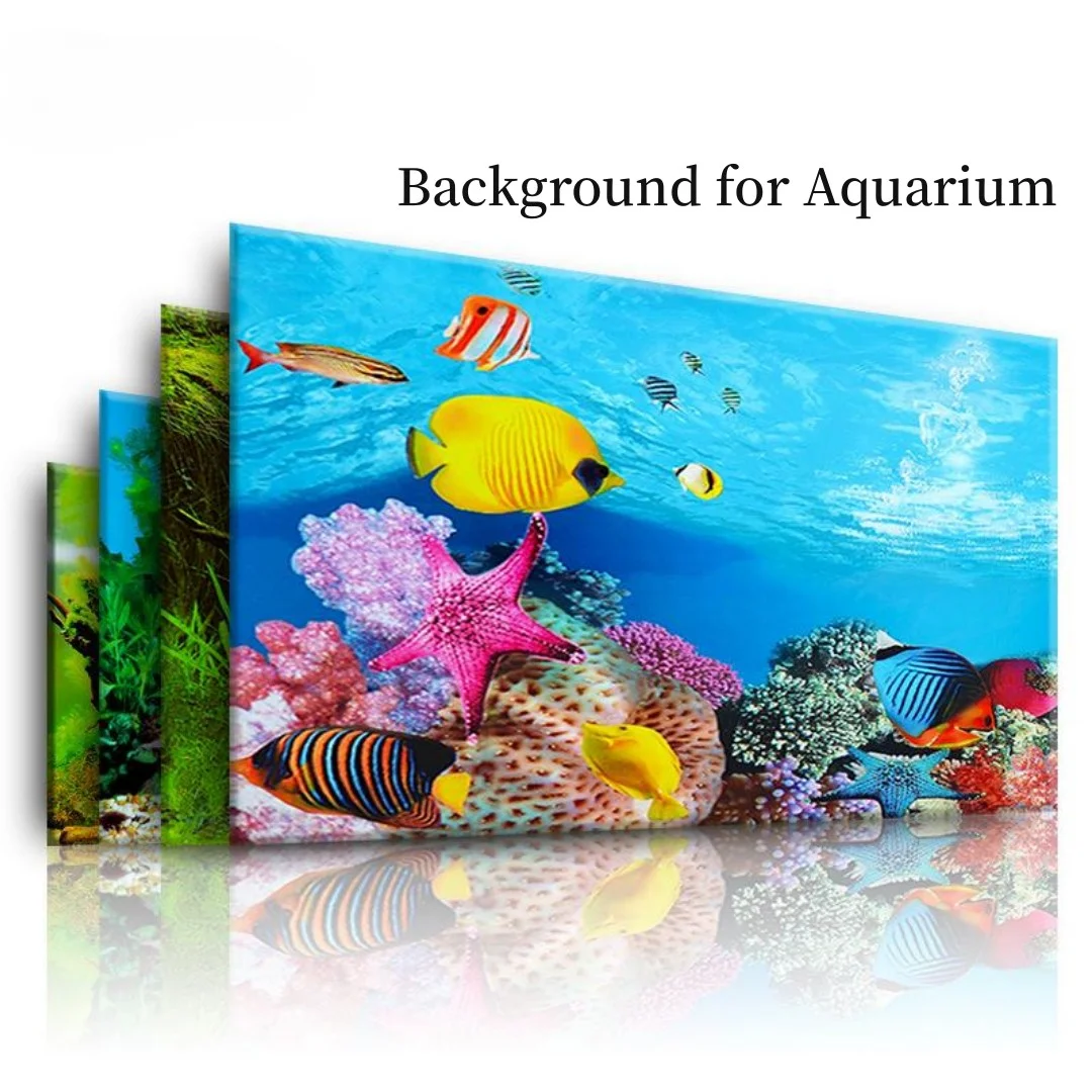 Aquarium Fish Enrichment - Background Aquarium 3D Sticker Poster Decoration