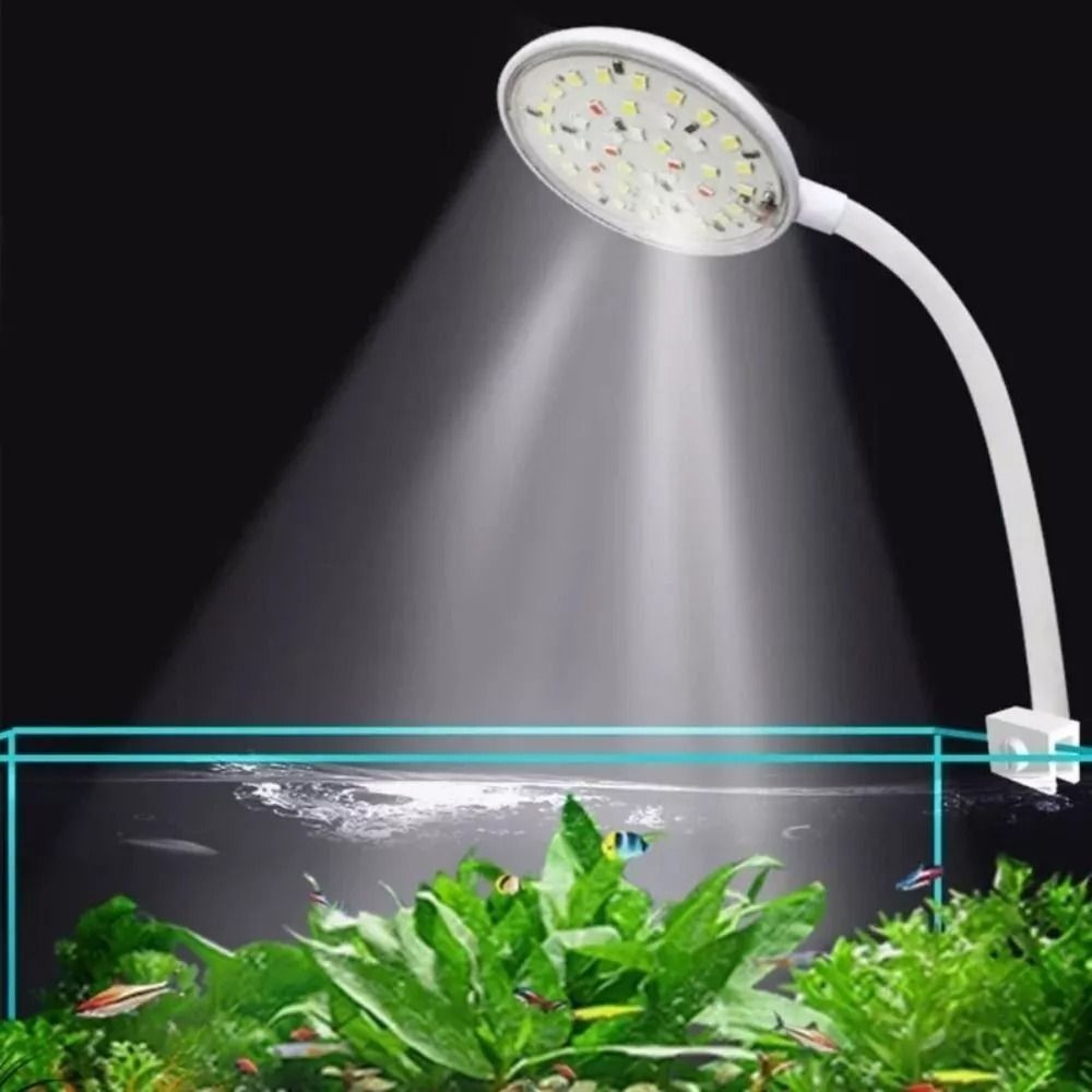 Aquarium Fish Live - New Mini Fish Tank Clip Lamp