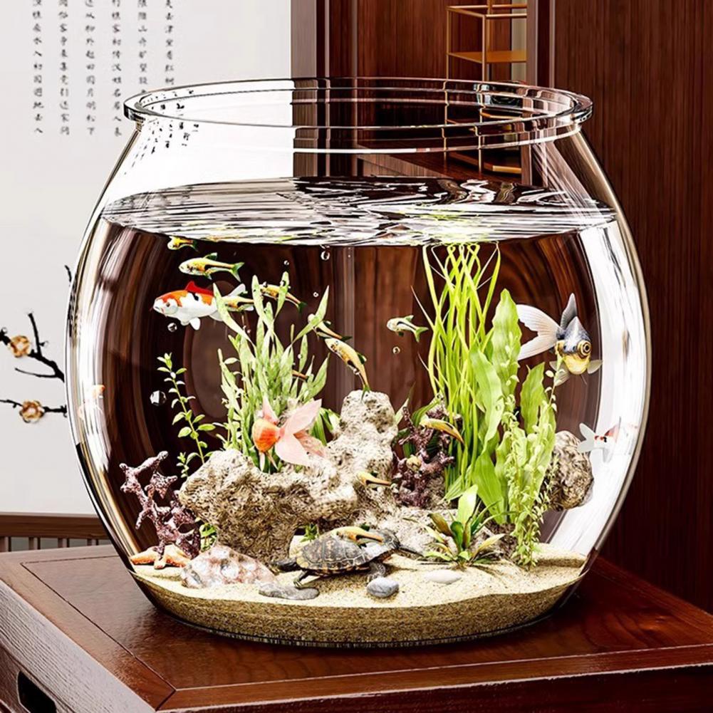 Aquarium Fish Live - Clear Plastic round Fish Bowl Aquarium