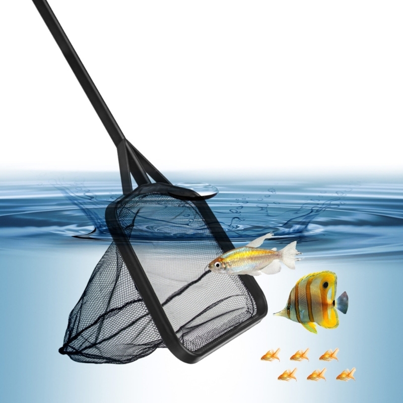 Multiple Length Handle Fishing - Aquarium Fishland 评论和价格