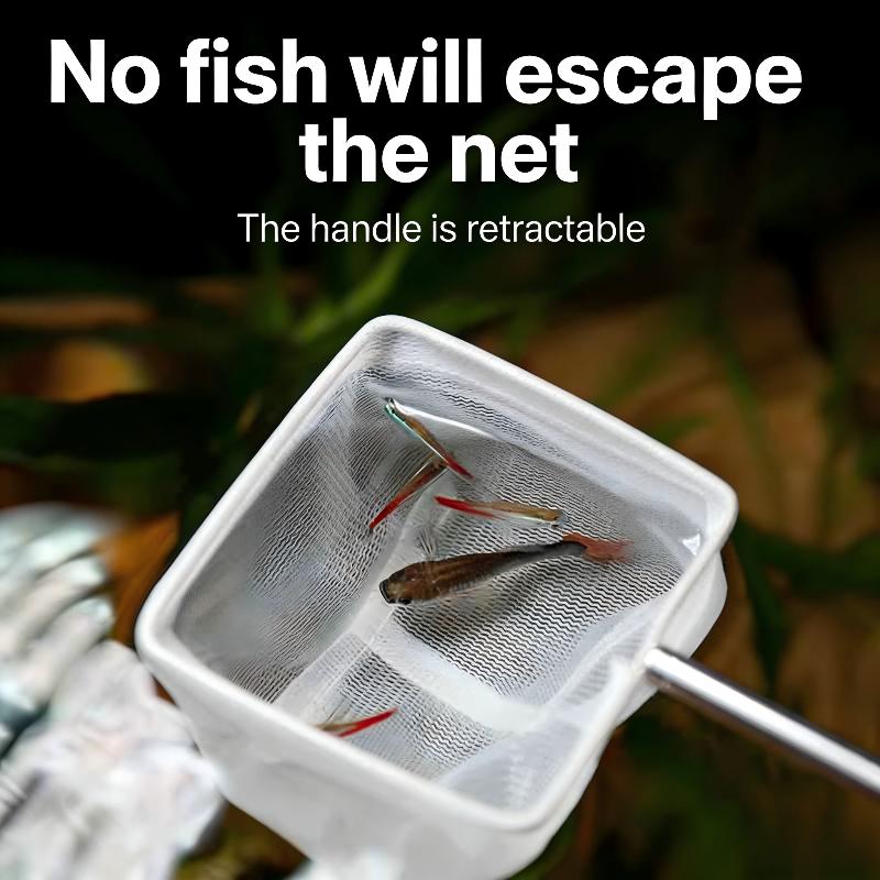 For Catchin Fish Shrimp Tank A - Aquarium Fishland 评论和价格