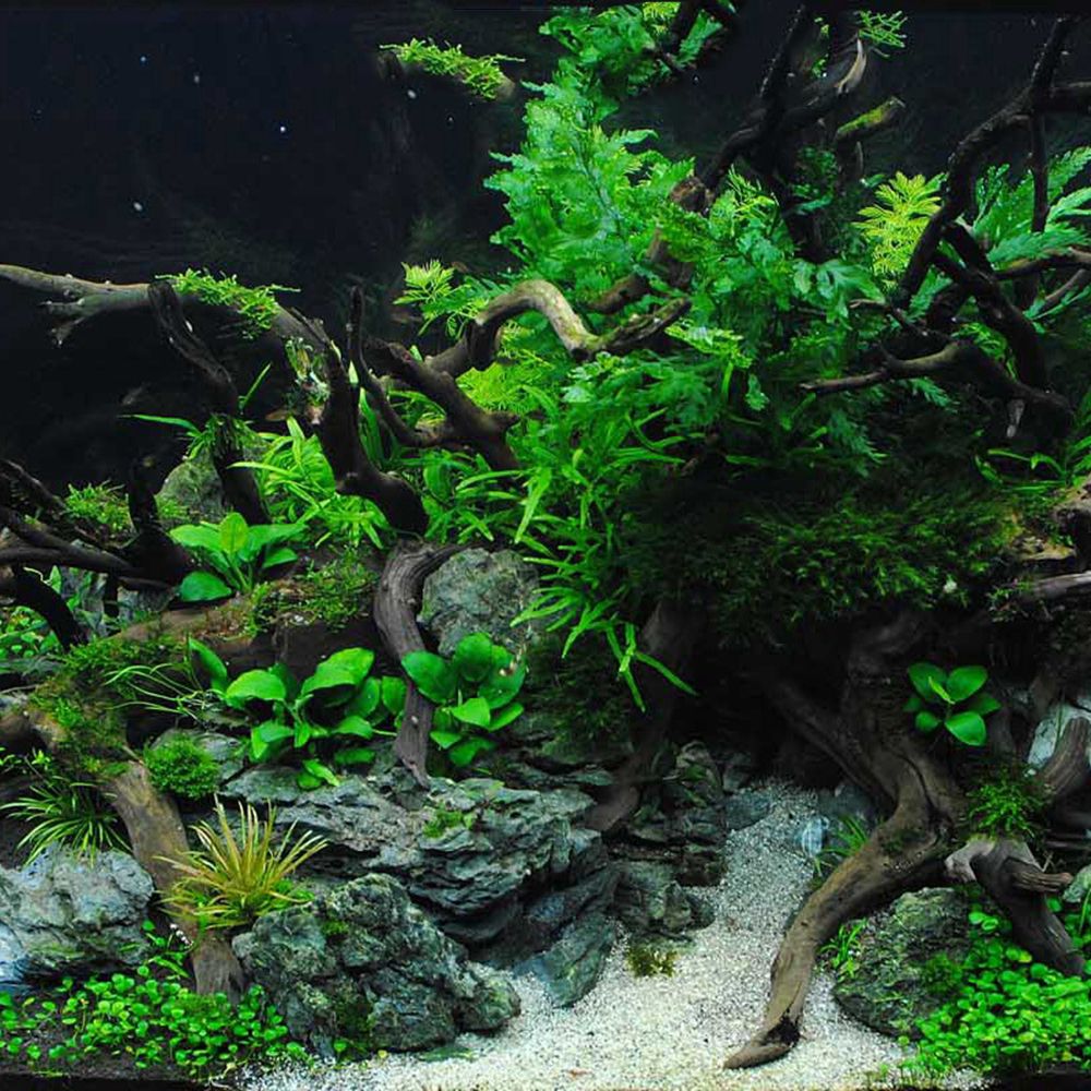 Wood N1N Reptile Tank Backgrou - Aquarium Fish Enrichment 评论和价格