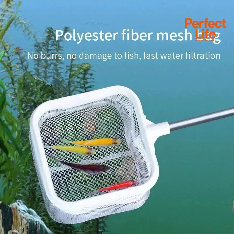 1、2Pcs Stainless Steel Fishing - Aquarium Fishland 评论和价格