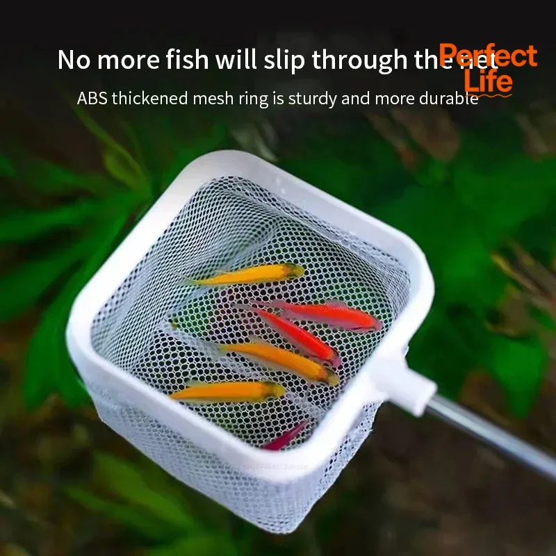 1、2Pcs Stainless Steel Fishing - Aquarium Fishland 评论和价格