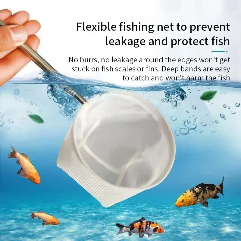 1、2Pcs Stainless Steel Fishing - Aquarium Fishland 评论和价格