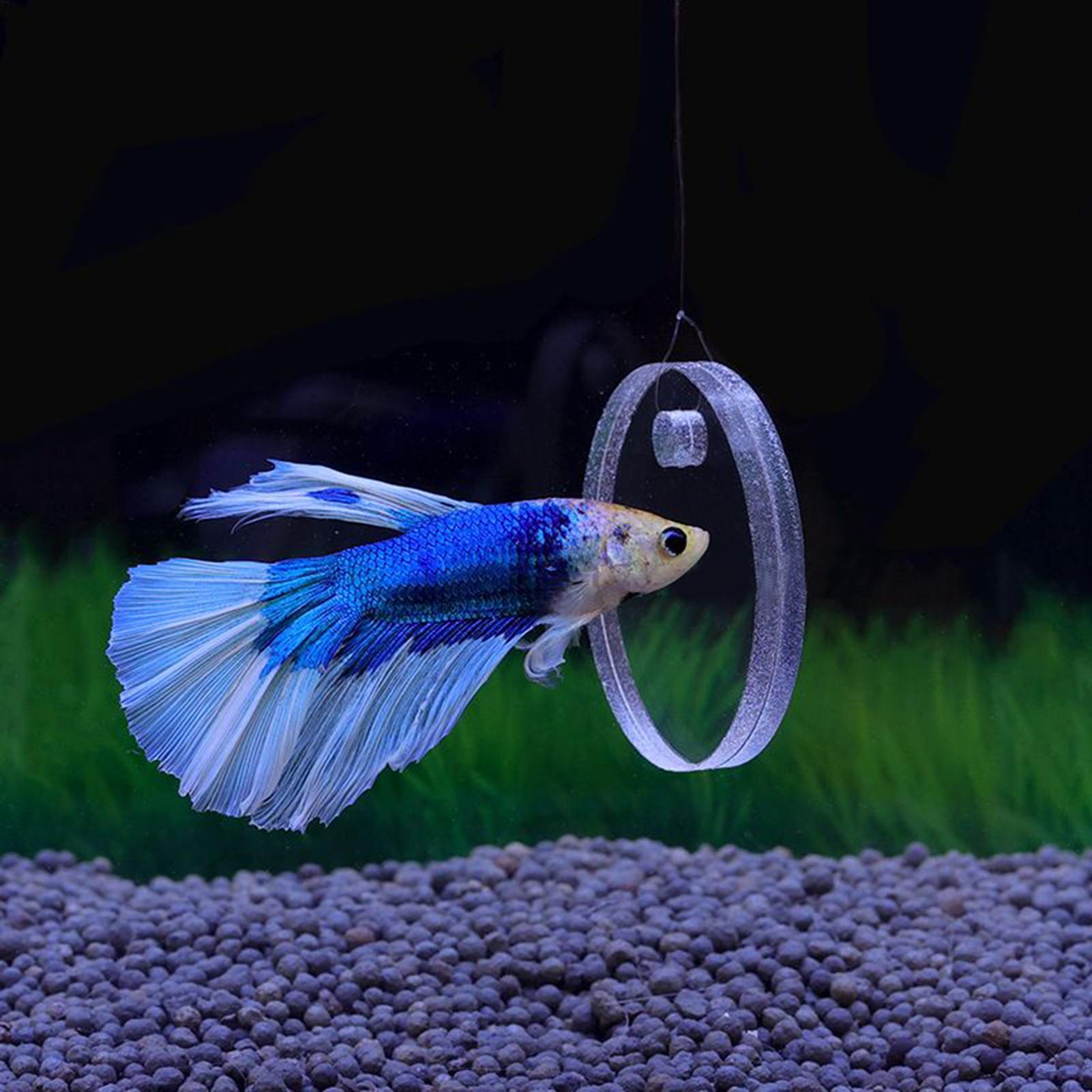 2Pcs Floating Feeding Ring Wit - Aquarium Fish Enrichment 评论和价格