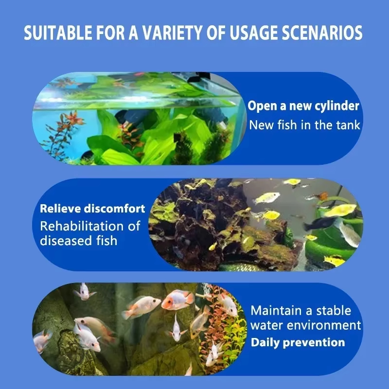 SIKEZHAN Fish Disease Treatmen - Aquarium Fishing 评论和价格