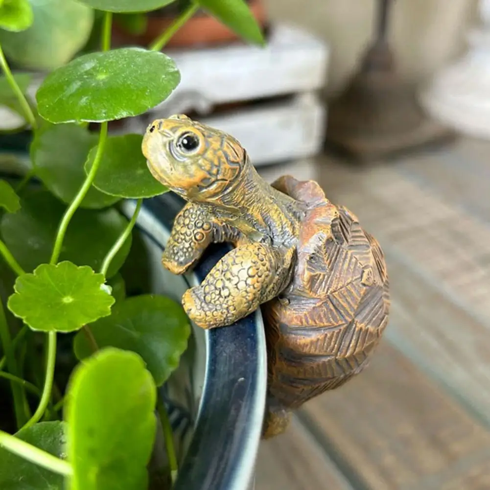 Fishing Turtle Hanging Turtle  - Aquarium Fishing 评论和价格