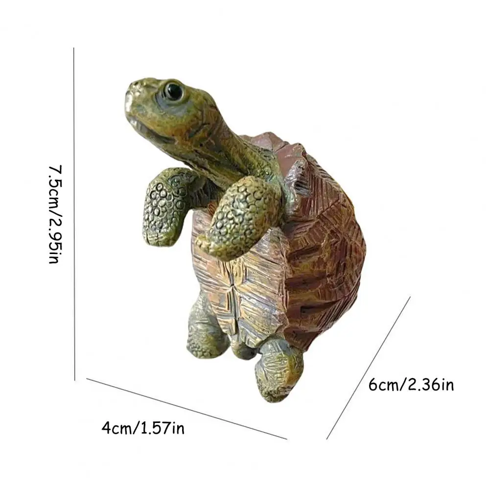 Fishing Turtle Hanging Turtle  - Aquarium Fishing 评论和价格