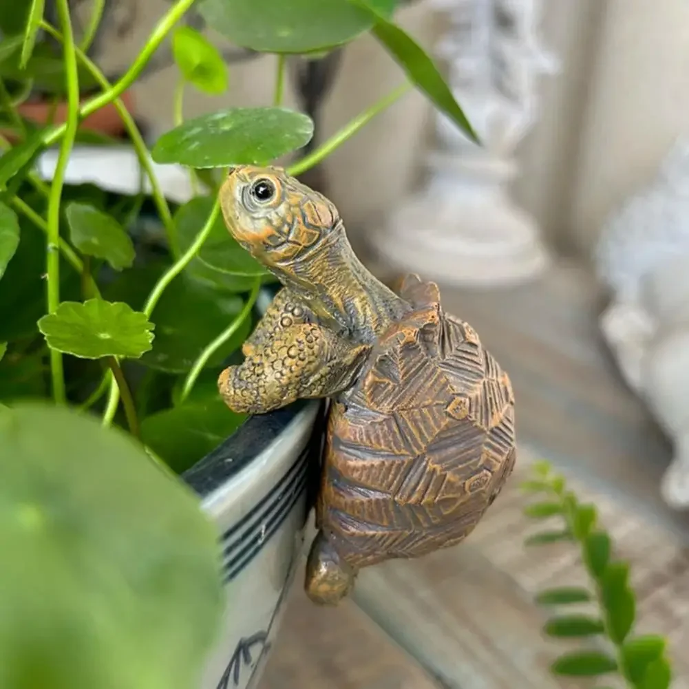Fishing Turtle Hanging Turtle  - Aquarium Fishing 评论和价格