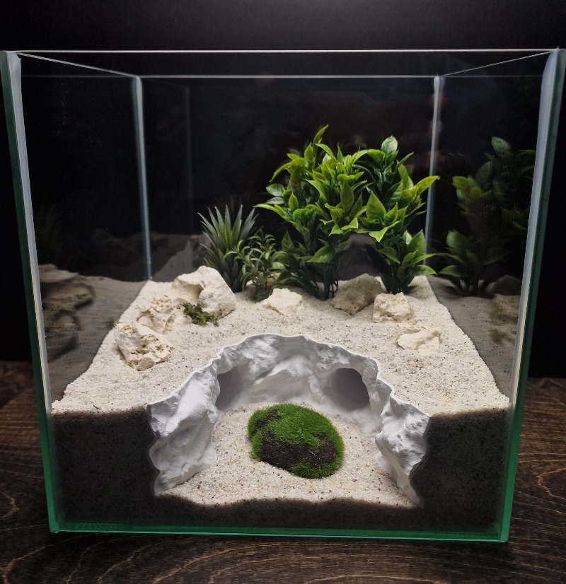 2-in-1 Water & Land Hiding Cav - Aquarium Fishland 评论和价格