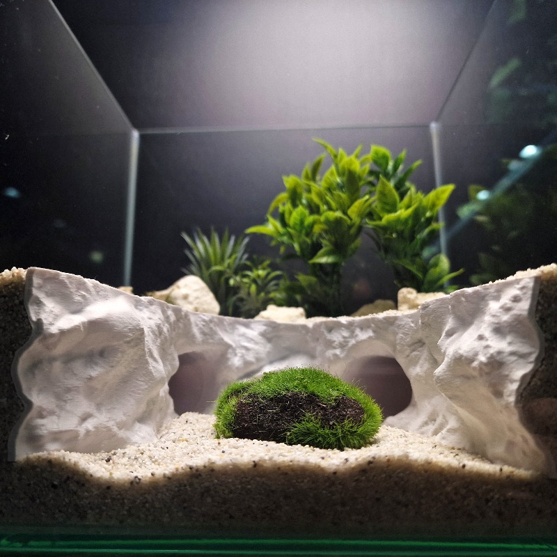 2-in-1 Water & Land Hiding Cav - Aquarium Fishland 评论和价格