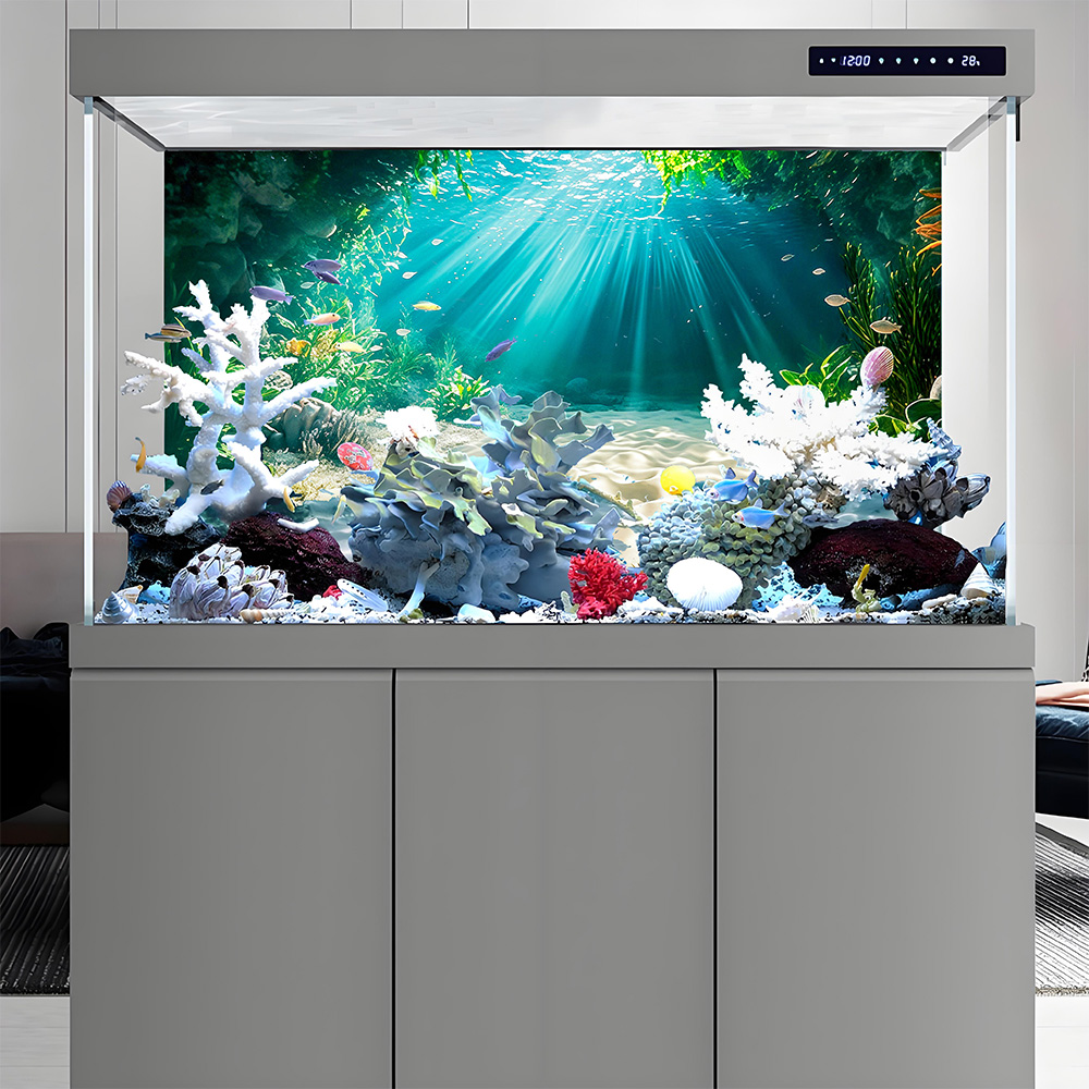 Beach Secret Land，fish tank ba - Aquarium Fishland 评论和价格