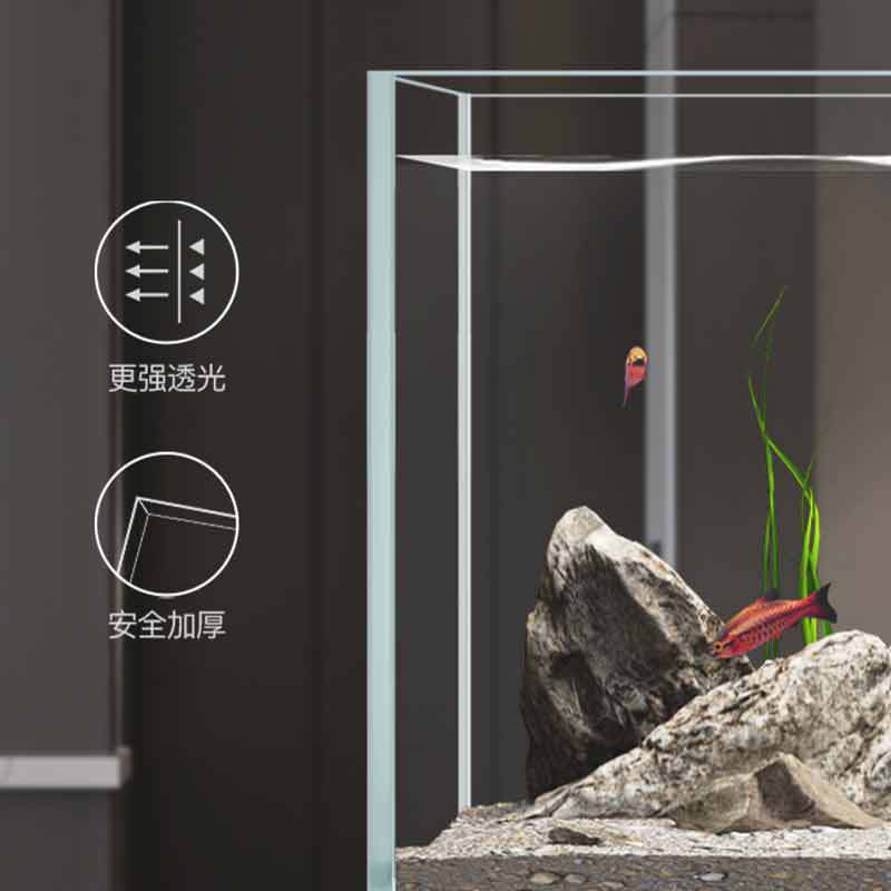 Minjiang stream tank landscapi - Aquarium Fish Live 评论和价格