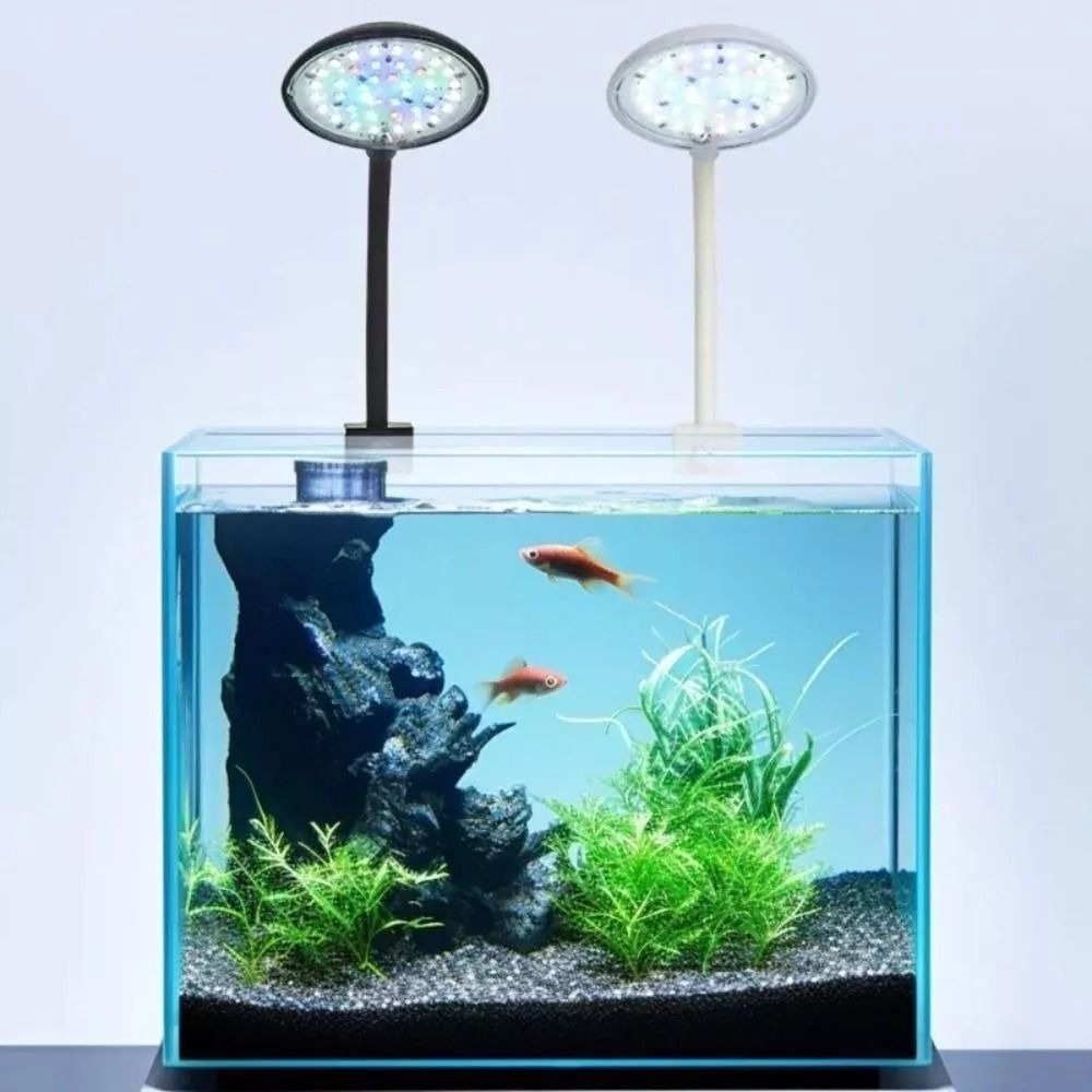 New Mini Fish Tank Clip Lamp 5 - Aquarium Fish Live 评论和价格
