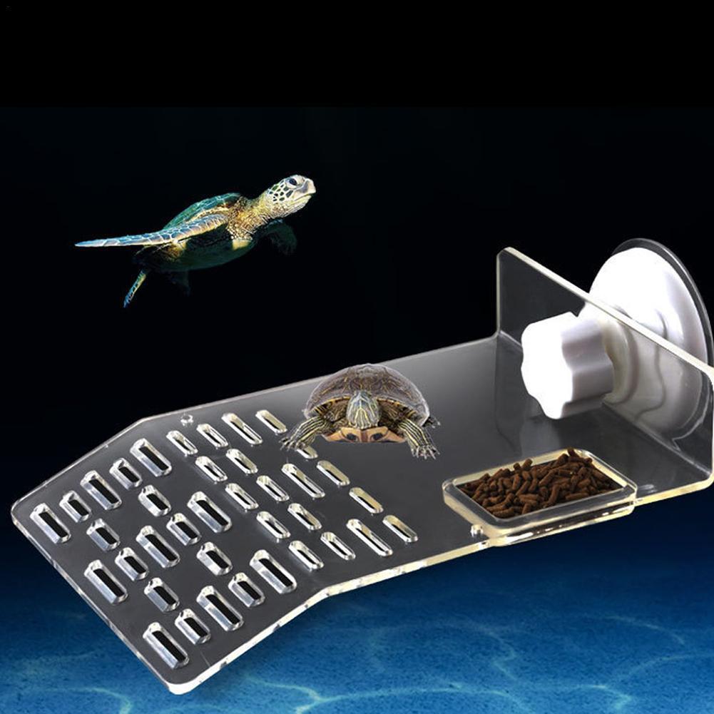 Turtle Pier Dock Basking Platf - Aquarium Fishland 评论和价格
