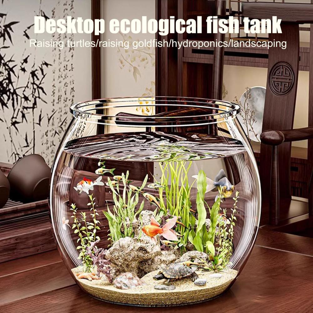 Clear Plastic round Fish Bowl  - Aquarium Fish Live 评论和价格