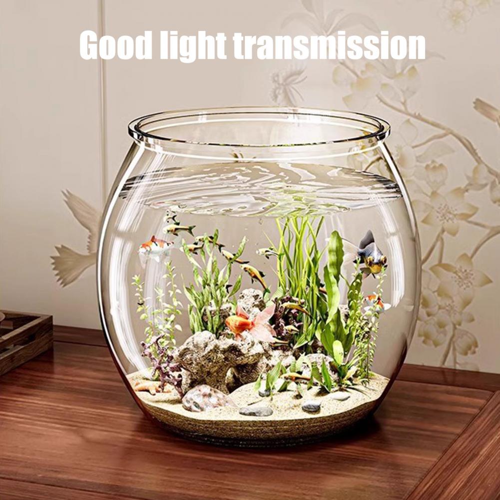 Clear Plastic round Fish Bowl  - Aquarium Fish Live 评论和价格