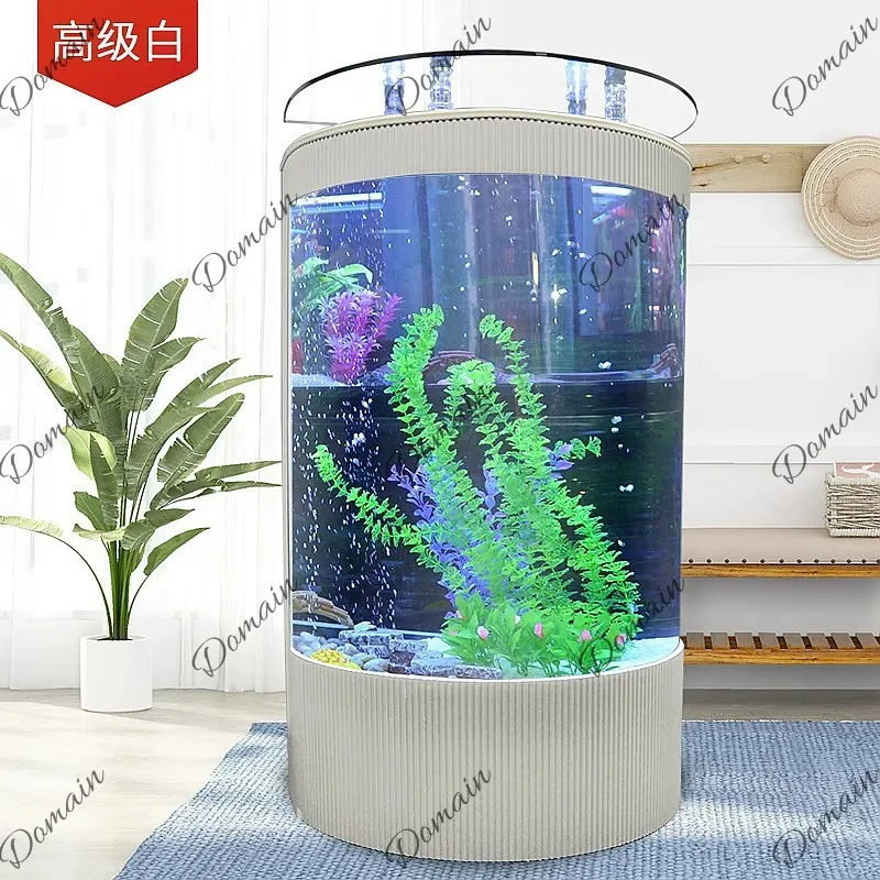 B80 Semi-round European Living - Aquarium Fishland 评论和价格