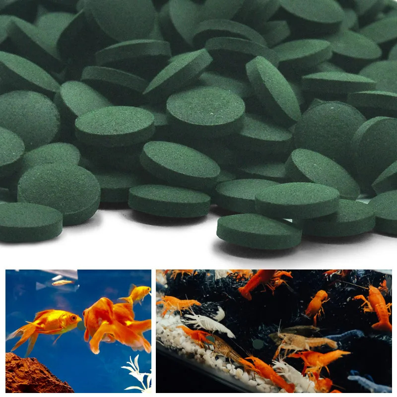 100-1500Pcs High-Purity Spirul - Aquarium Fish Enrichment 评论和价格