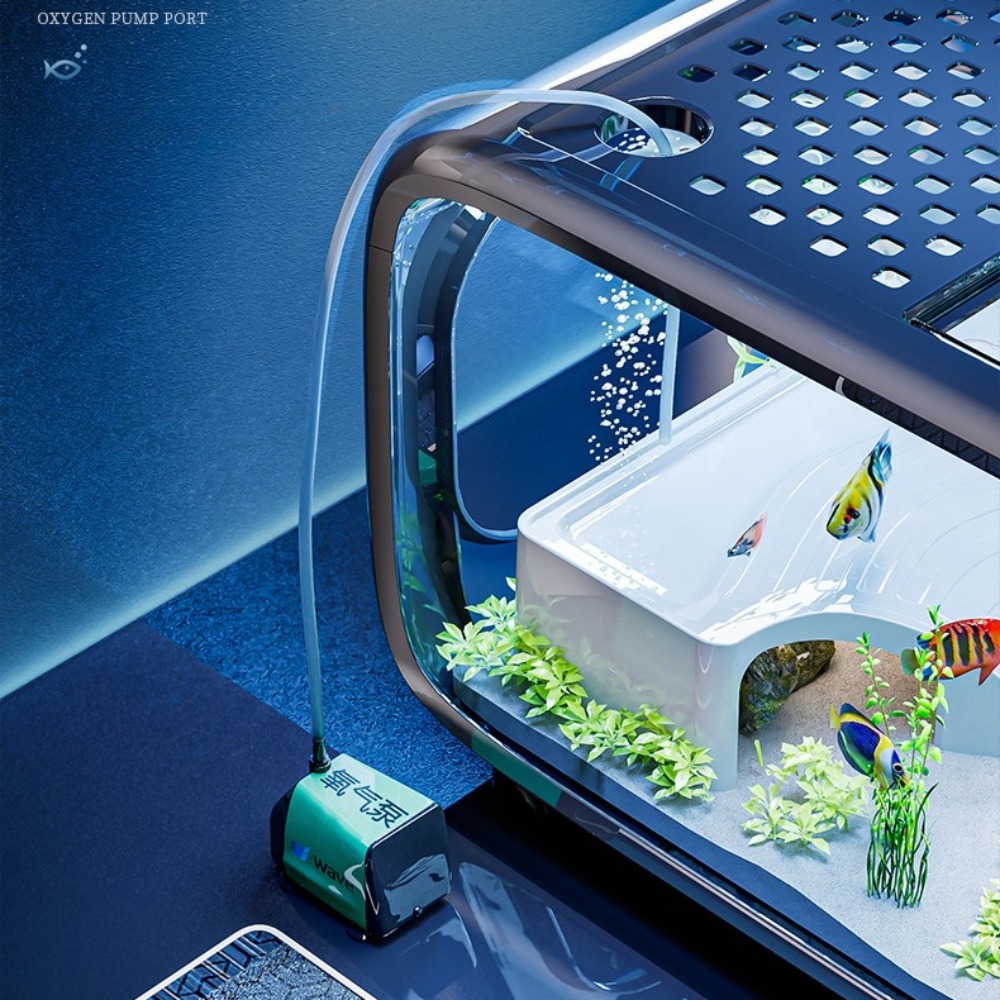 Transparent Luxury Fish Tank D - Aquarium Fish Live 评论和价格