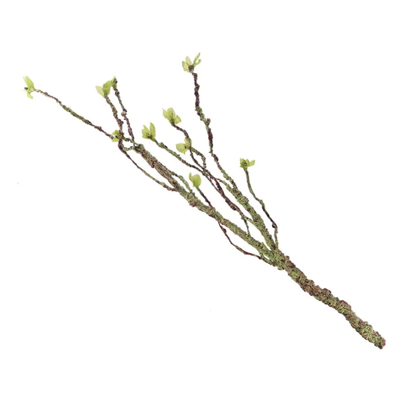 Vines Decor Climbing Branches  - Aquarium Fish Enrichment 评论和价格